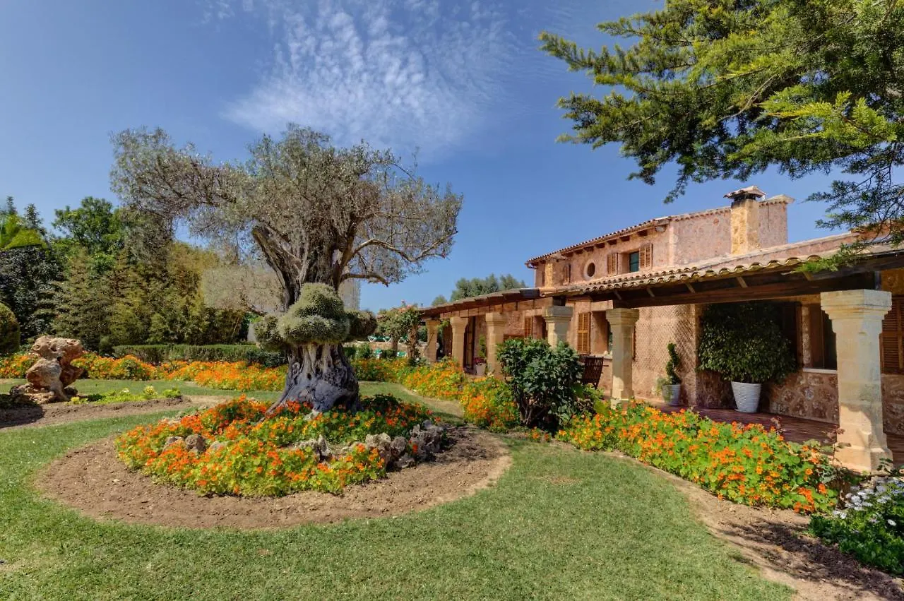 Ses Contesas Villa Alcudia